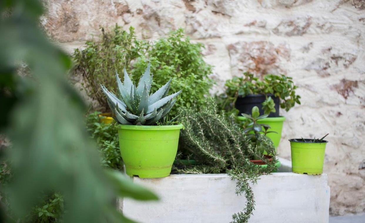 A Litte Taste Of Home Guest House Atene Esterno foto